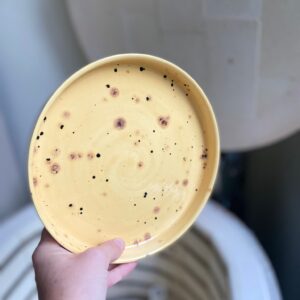 Serracota Tatlı Tabağı 19 cm