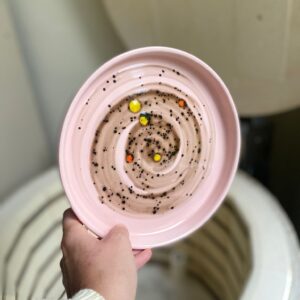 Serracota Tatlı Tabağı 19 cm